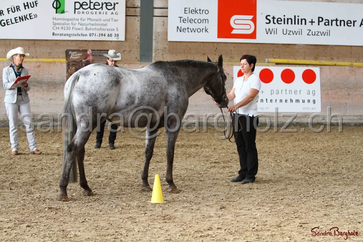 24-ApHC HIH_026.jpg